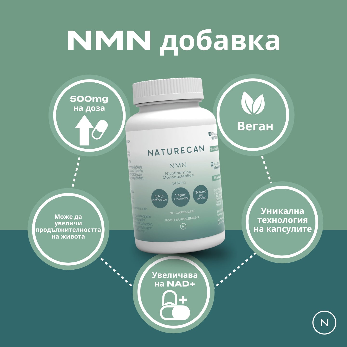 nmn supplement