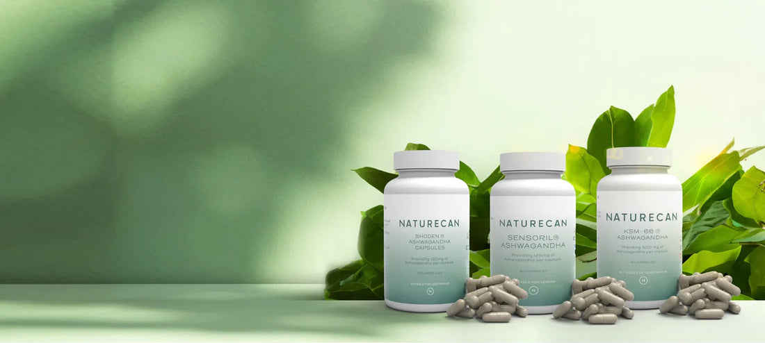 Ръководство за ашваганда - ползи, дозировка и прегледи