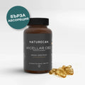 Accelerator 10mg CBD капсули