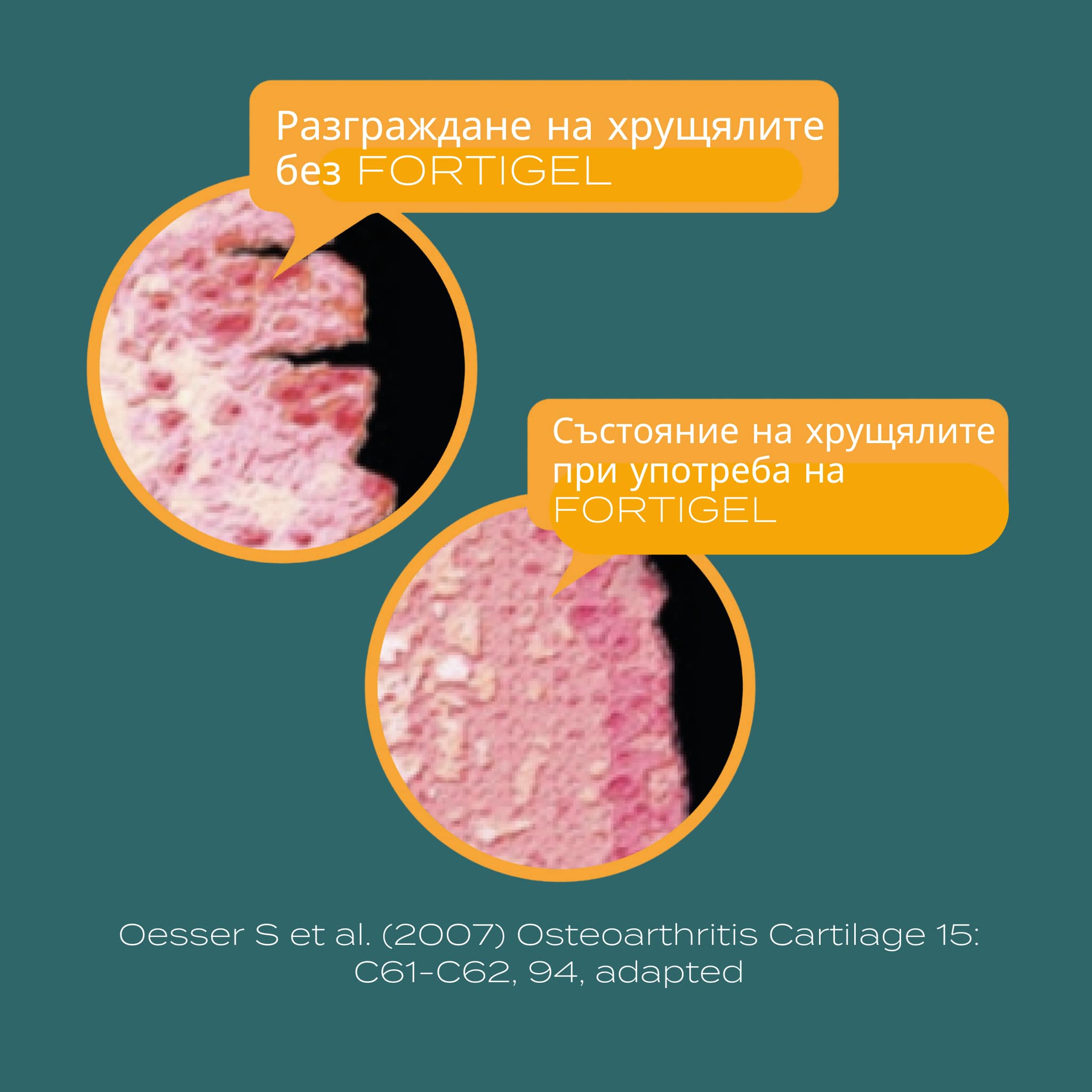ползите от колагена