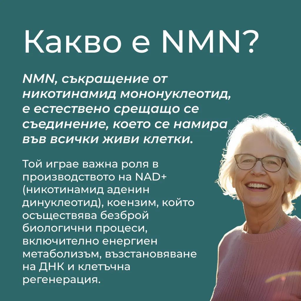 nmn добавка цена