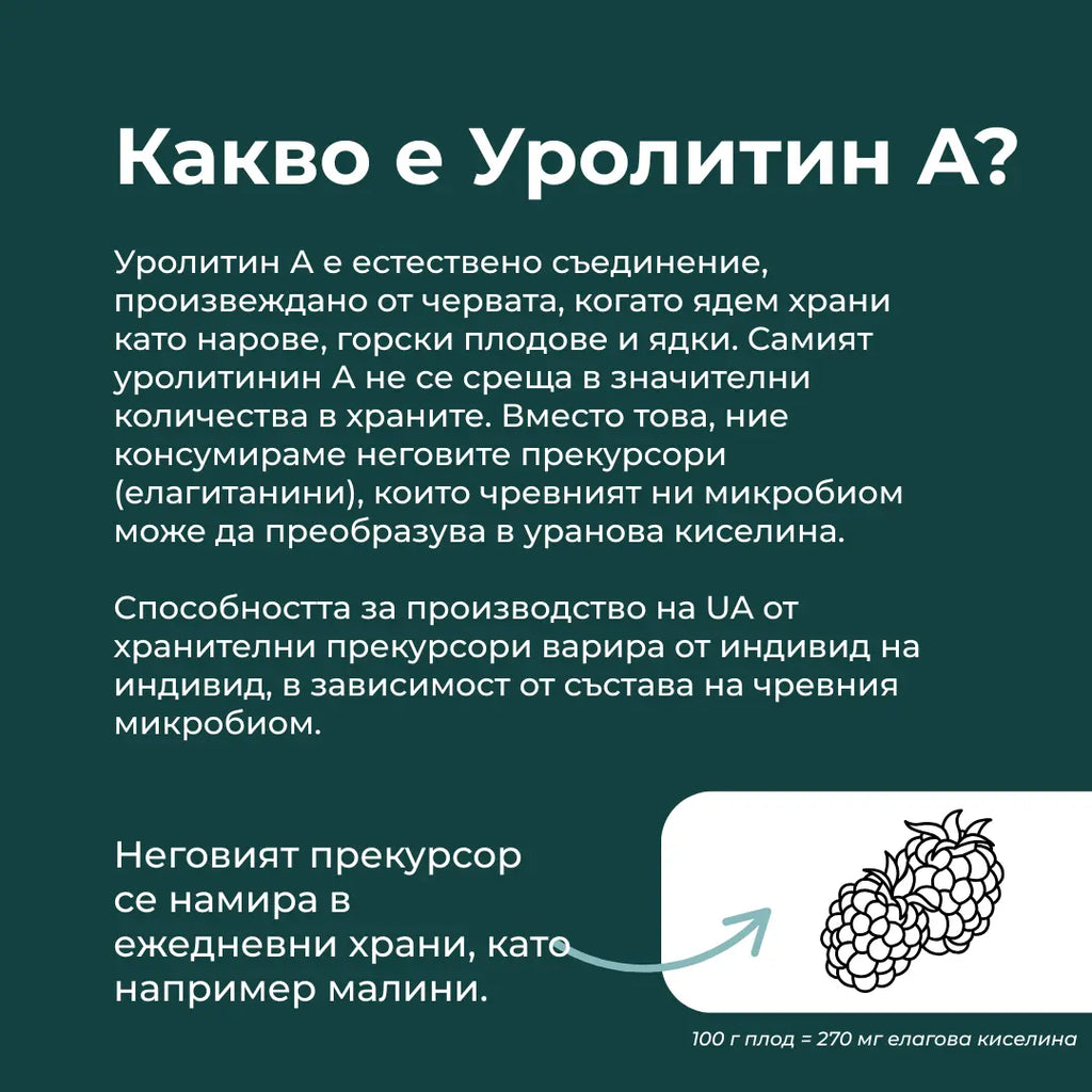 Уролитин А