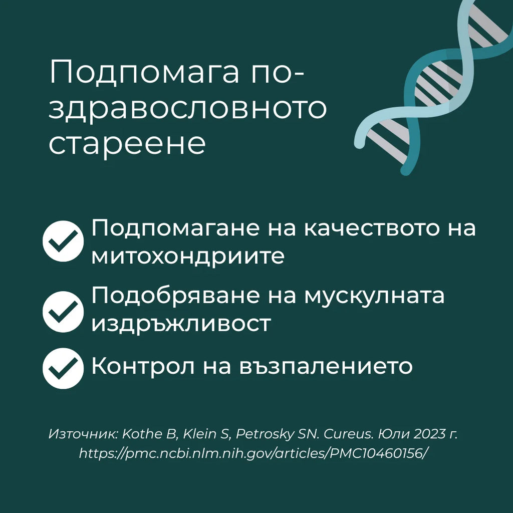 уролитин а добавка