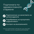 уролитин а добавка