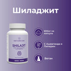 shilajit supplement