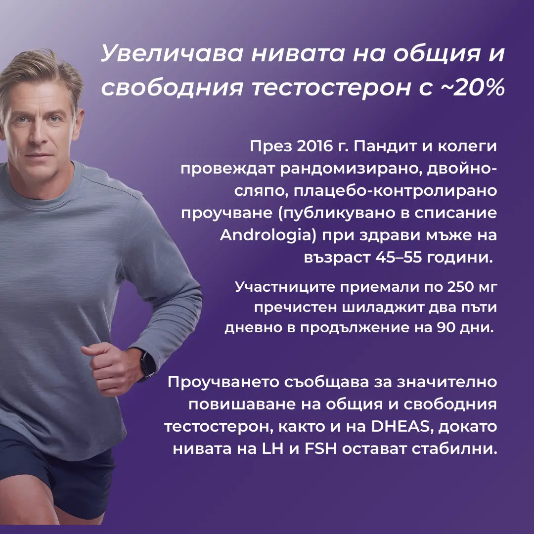 шиладжит с ашваганда