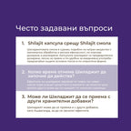 shilajit