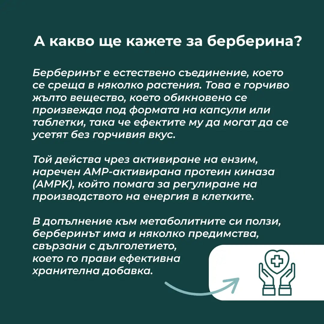 берберин цена