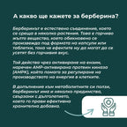 берберин цена