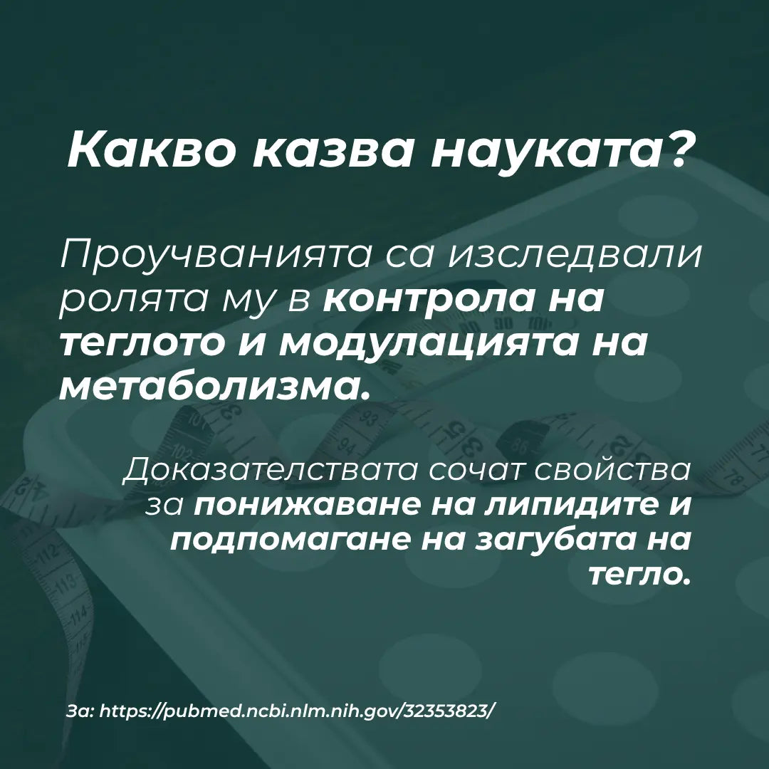 най добрия берберин