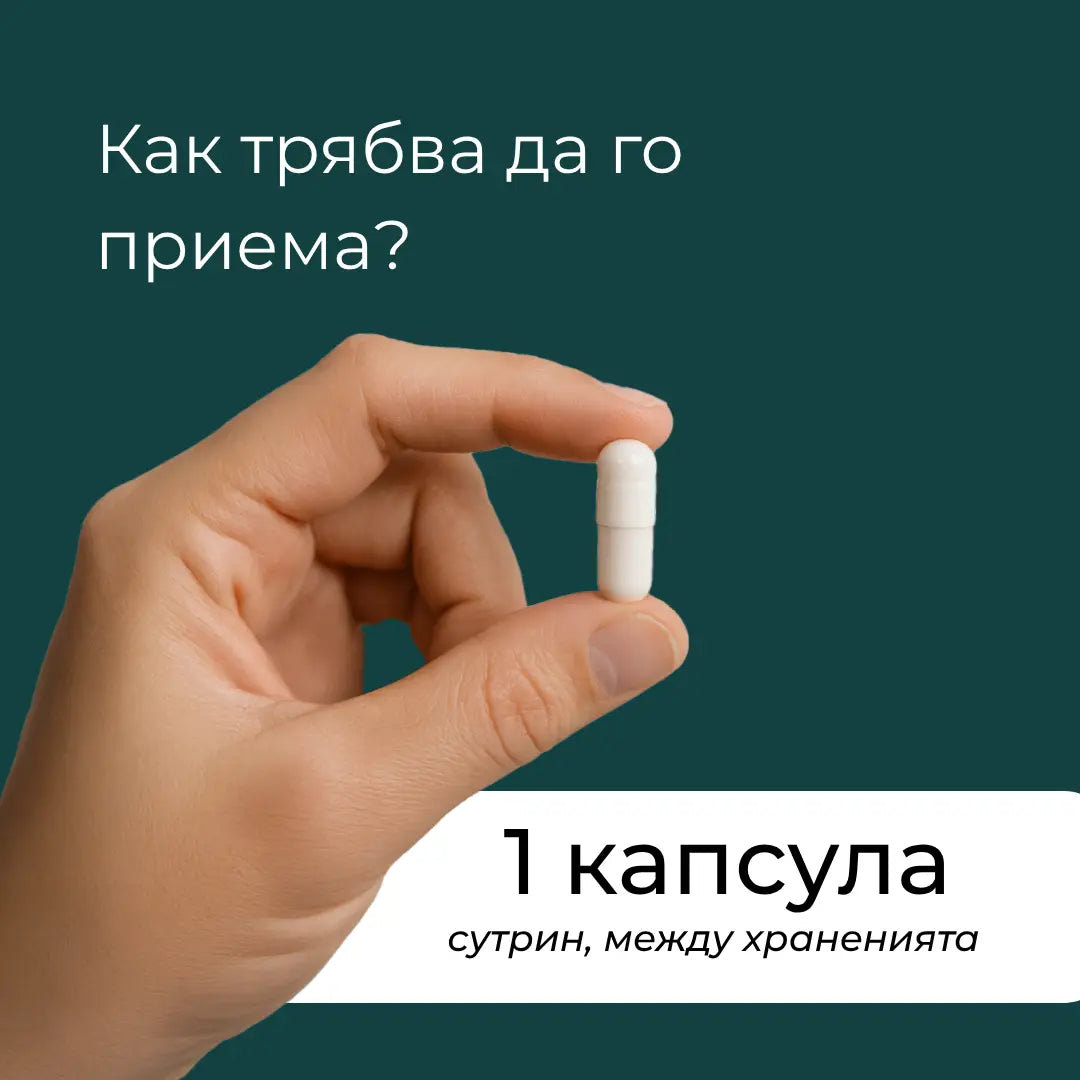 кога се пие берберин