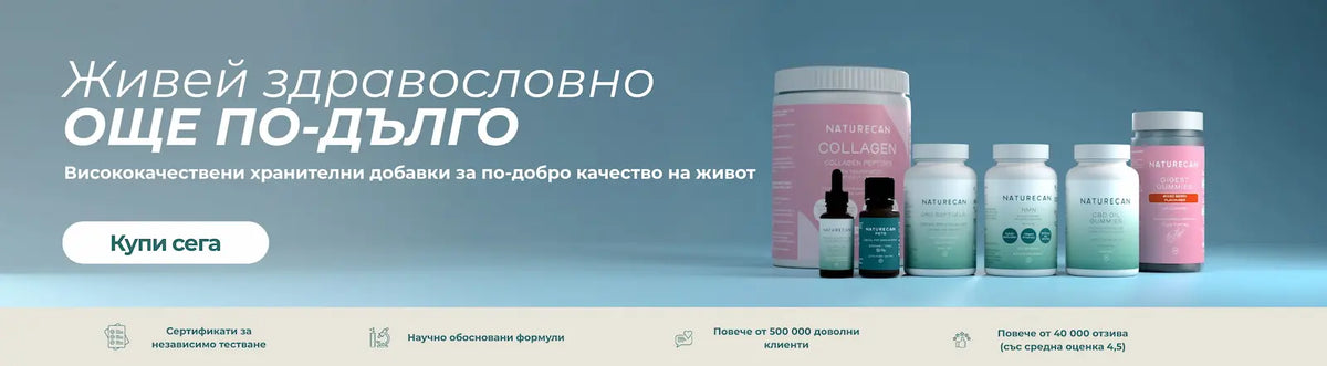 Рекламен банер