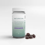 Гъба Лъвска грива 