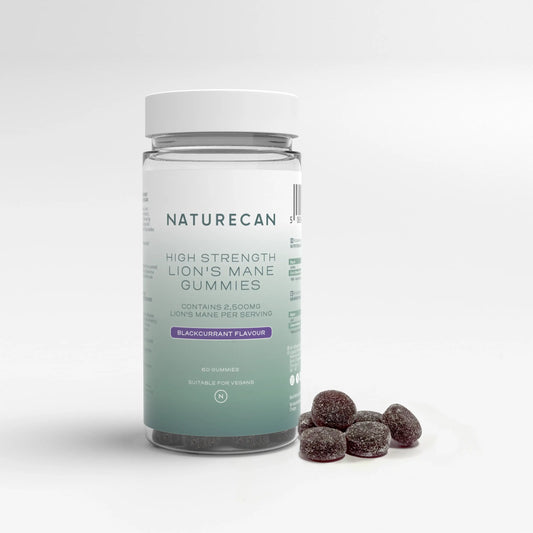 Гъба Лъвска грива 