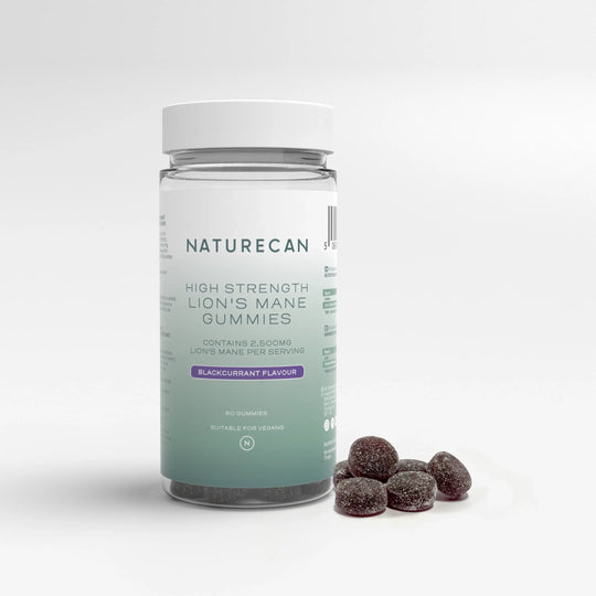 Гъба Лъвска грива 