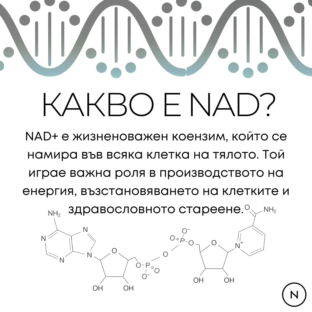 nad+ цена
