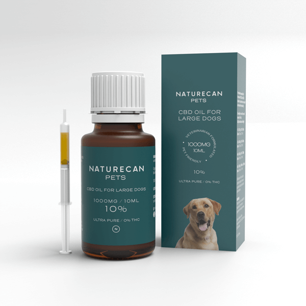 cbd for dogs